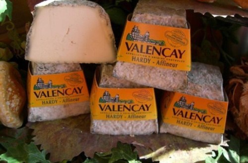 Bộ Công Thương yêu cầu thu hồi  phomai Pháp nhiễm ecoli, cảnh báo người dân tuyệt đối không sử dụng