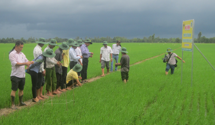 Nhà nông sẽ trở thành chuyên gia trên đồng ruộng