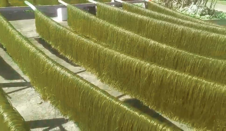 Tiện lợi sợi bột phối chùm ngây