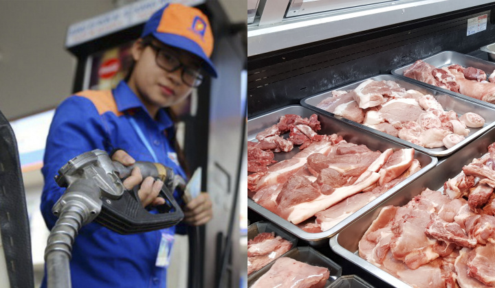 Tổ Điều hành thị trường trong nước tháng 3: Đảm bảo nguồn cung xăng dầu và tiêu thụ thịt lợn