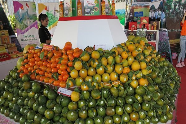 90% hàng hóa tại hệ thống thương mại lớn là hàng Việt