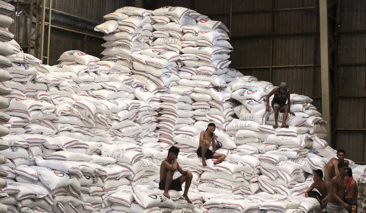 Luật mới tại Philippines, xuất khẩu gạo trở thành "cuộc chơi" công bằng cho tất cả