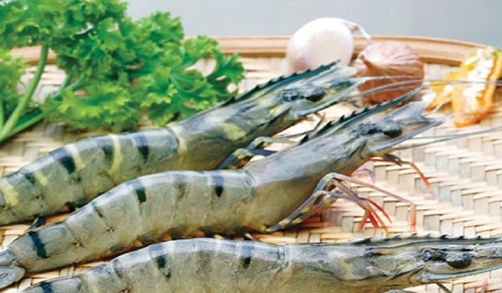 Tận dụng cơ hội từ các FTA, tôm Việt Nam tăng xuất khẩu sang Nhật