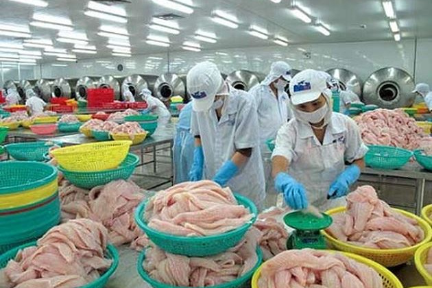 Từ Chi lê, cá tra Việt có cơ hội tiếp cận 33 thị trường khu vực Mỹ Latinh