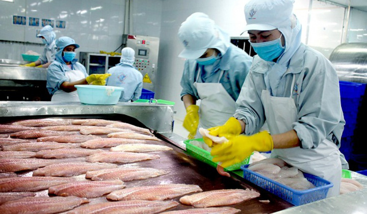 Xuất khẩu cá tra sang 10 nước nước CPTPP: Nhiều cơ hội mở rộng thị phần