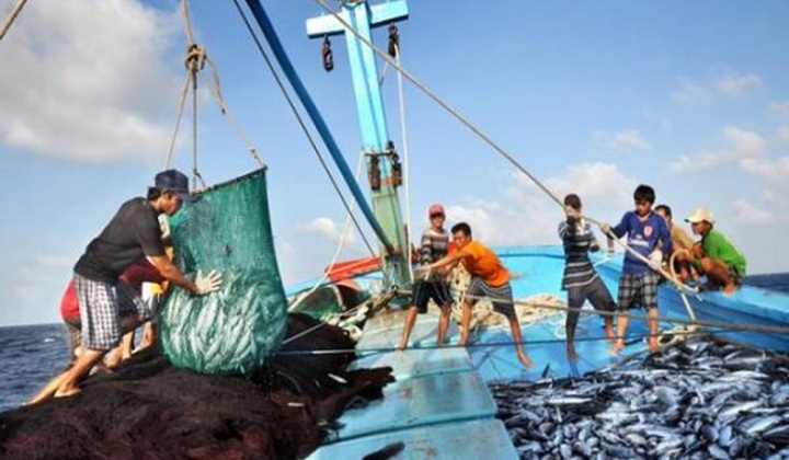 Xử phạt vi phạm quy định về xuất, nhập khẩu thủy sản sống