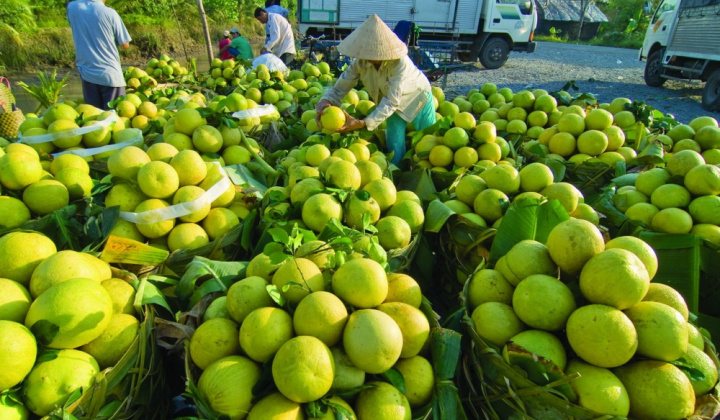 Định vị lại thị trường Trung Quốc