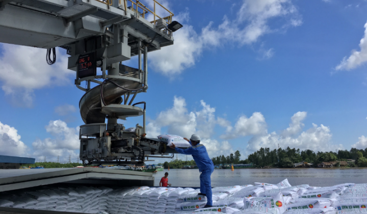 Phân bón dầu khí - Người bạn trung thành của người nông dân