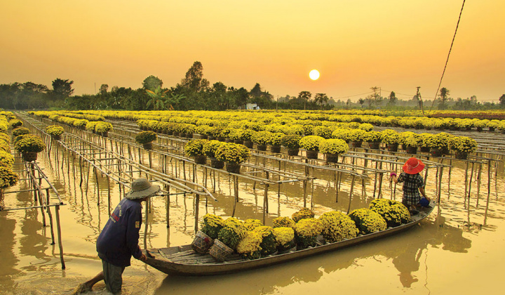 Check-in Sa Đéc, làng hoa lớn nhất miền Tây