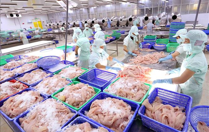 Xuất khẩu cá tra sang ASEAN tăng 14,6%