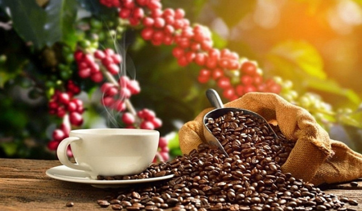 Việt Nam là nguồn cung cà phê lớn nhất cho Tây Ban Nha