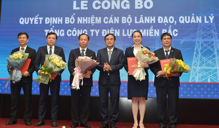 EVNNPC bổ nhiệm nữ Tổng giám đốc
