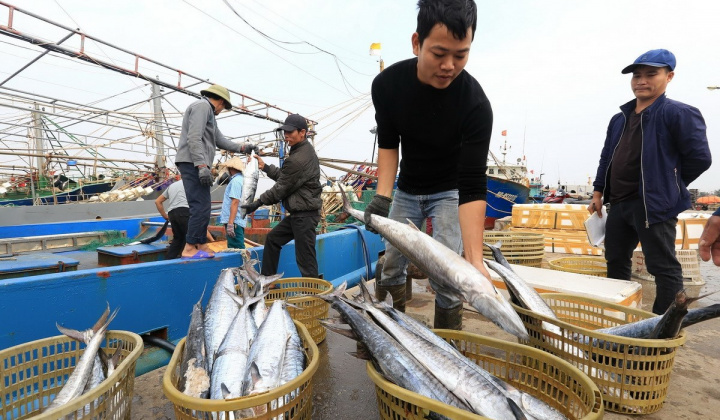 Tập đoàn Mavin đầu tư 30 tỷ USD nuôi hải sản xuất khẩu