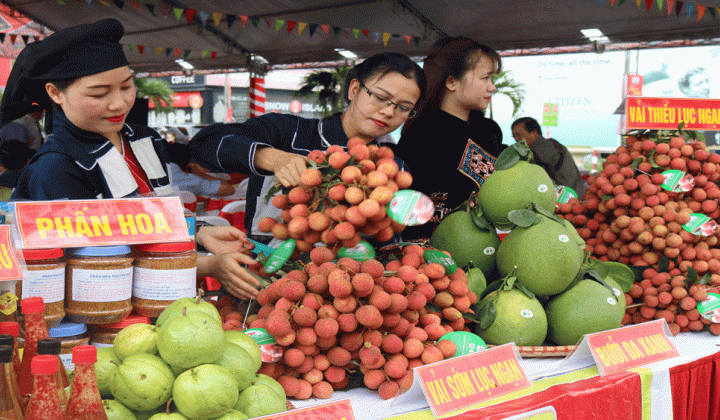 Bắc Giang: Gần 11,6 tỷ đồng hỗ trợ phát triển thương hiệu nông sản hàng hóa cấp tỉnh