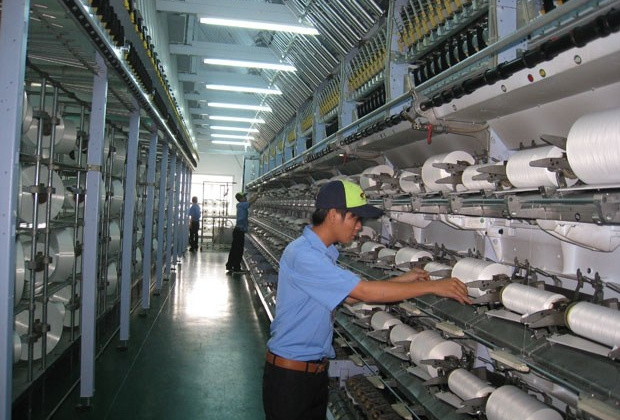 Sau cú sốc đầu đời, Sợi Thế Kỷ ung dung xuất ngoại