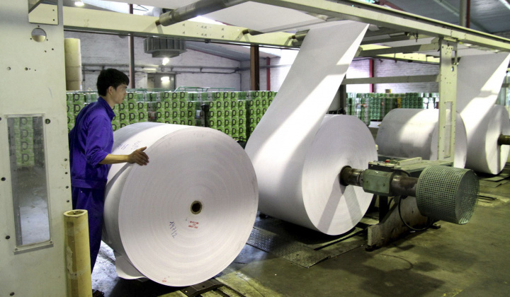 Ngành giấy nhận diện 2 vấn đề cần giải quyết ngay nếu muốn phát triển bền vững