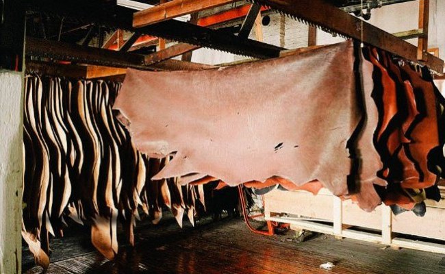 Ngành công nghiệp da Australia chạm mức thấp kỷ lục