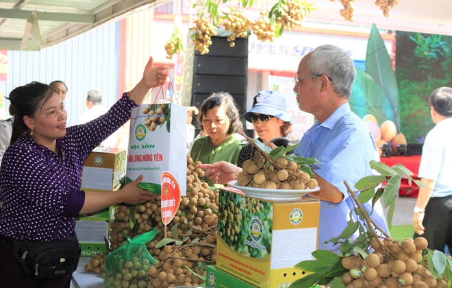 BigC kết nối, tiêu thụ đặc sản nhãn lồng Hưng Yên