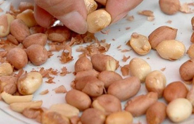 20mg Aflatocxin có trong lạc mốc cũng đủ để gây tử vong, hiện một người đã chết