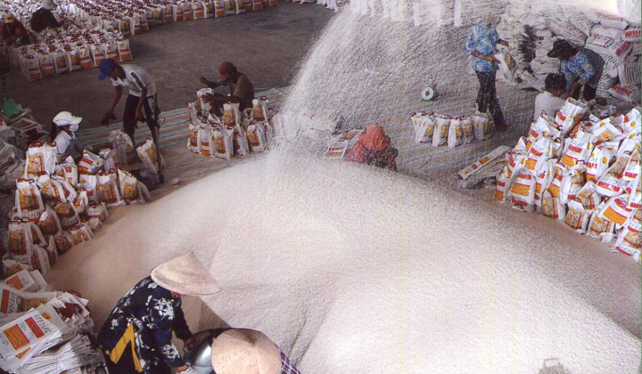 Thay đổi chiến lược phát triển ngành gạo Việt Nam