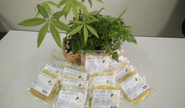 Nghiên cứu thành công công nghệ sản xuất bia Gừng và gừng lên men