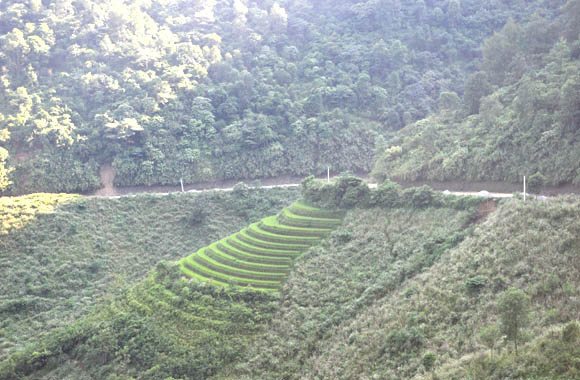 Đa dạng thành phần loài thực vật thuộc ngành Ngọc lan (Magnoliophyta) tại Vườn quốc gia Phia Oắc - Phia Đén, tỉnh Cao Bằng