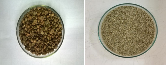 Thu nhận axit Chlorogenic từ hạt cà phê xanh ứng dụng làm thực phẩm chức năng