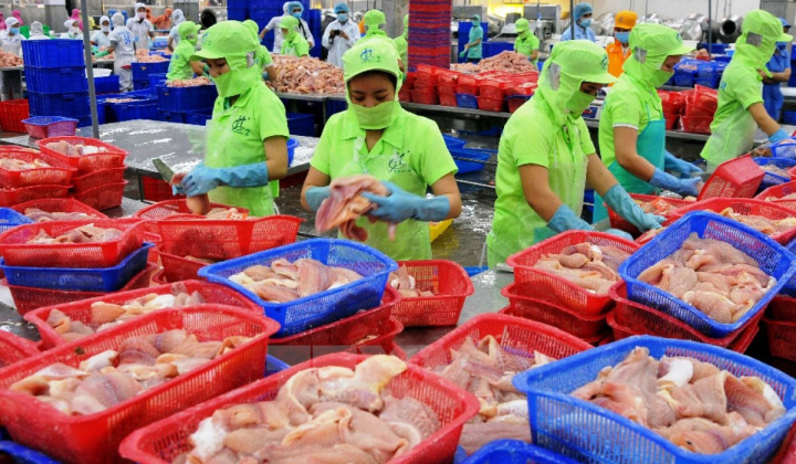 Dự báo xuất khẩu thủy sản sẽ đạt 9 tỷ USD năm 2020