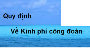 8 hiệp hội doanh nghiệp kiến nghị giảm kinh phí công đoàn xuống còn tối đa 1% quỹ tiền lương