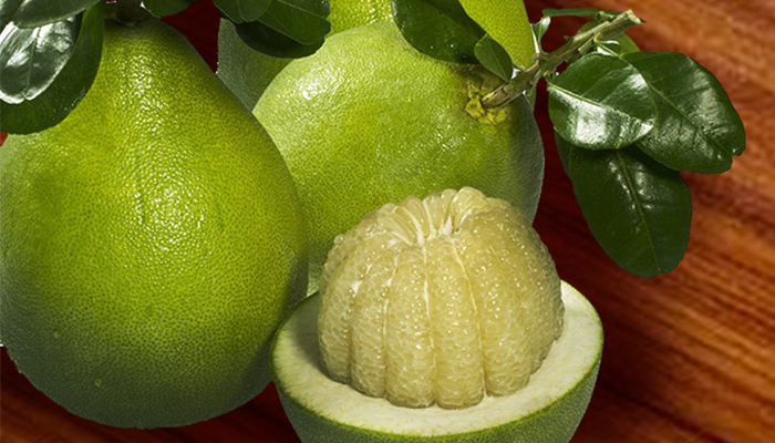 Bưởi Việt Nam tìm đường vượt qua hàng rào kỹ thuật