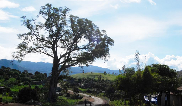 Lạ lùng “Nghĩa địa treo” ở Kon Tum