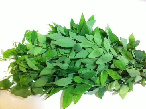 Ảnh hưởng của điều kiện trích ly hỗ trợ vi sóng đến hàm lượng polyphenol và hoạt tính kháng oxy hóa của dịch trích lá bồ ngót (Sauropus androgynus (L.) Merr)