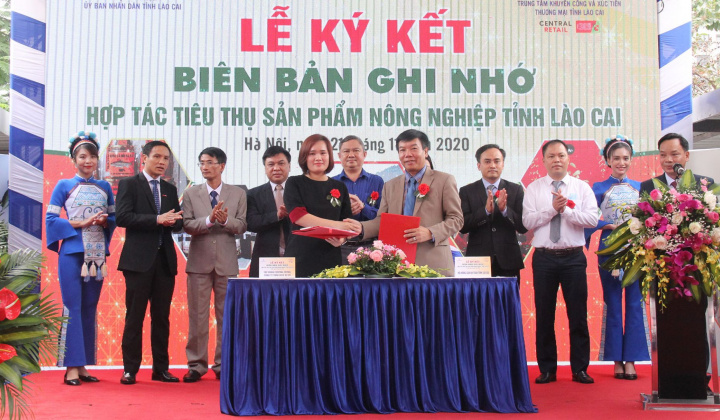 Lần đầu ra mắt, quýt Mường Khương đã chinh phục được người dân Thủ đô