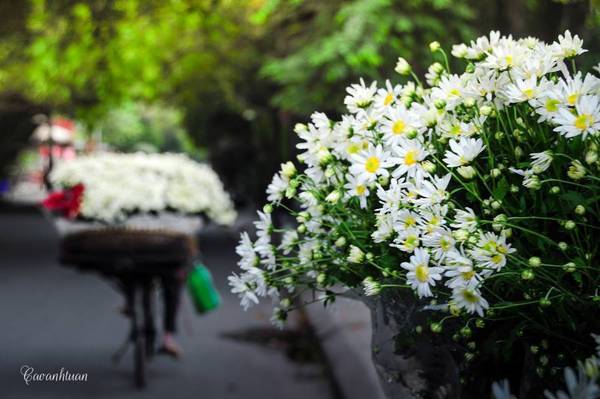 Thời tiết 25-11: Bắc bộ trời se lạnh, trưa chiều hửng nắng