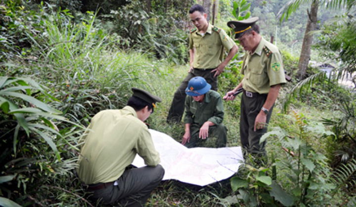 Nhiều Đại biểu tranh luận về hệ số che phủ rừng
