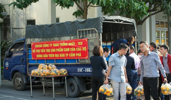 Công ty Than Thống Nhất chung tay hỗ trợ tiêu thụ nông sản