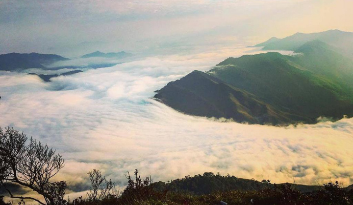 Du lịch Mộc Châu mùa đông đừng lỗi hẹn với 6 địa điểm này