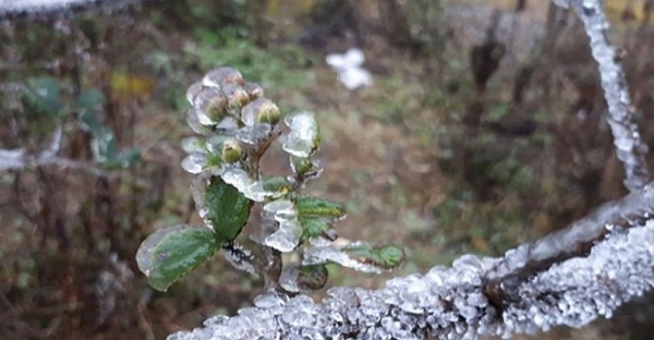 Thời tiết 20-12:  Không khí lạnh tăng cường, miền Bắc tiếp tục rét đậm