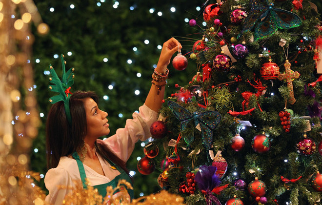 Bạn có biết sự ra đời của cây thông Noel?