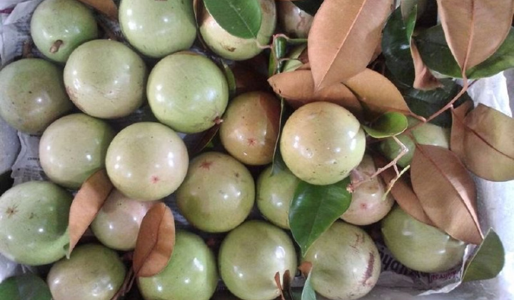 Đồng bằng sông Cửu Long: Trái cây tăng giá dịp cuối năm