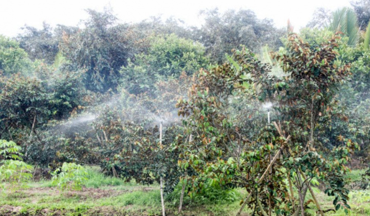 Ngành Khoa học và Công nghệ Sóc Trăng Phát triển kinh tế, kiến tạo tương lai