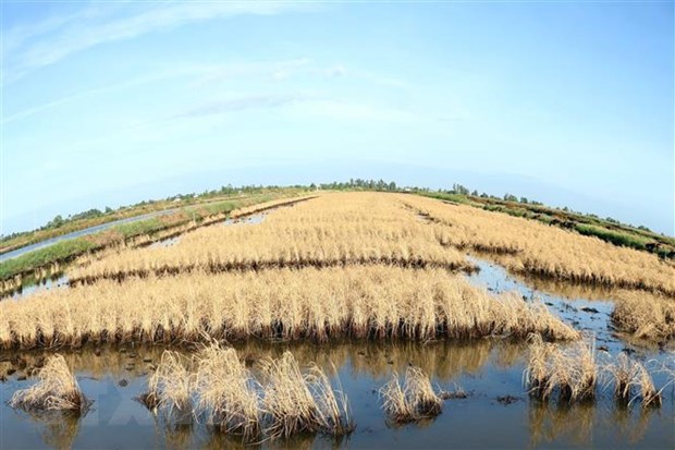 Sóc Trăng Hiệu quả cao từ chống biến đổi khí hậu và rác thải nhựa