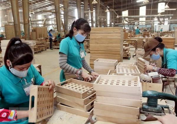 Xây dựng hợp tác xã theo chuỗi giá trị trên 4 lĩnh vực