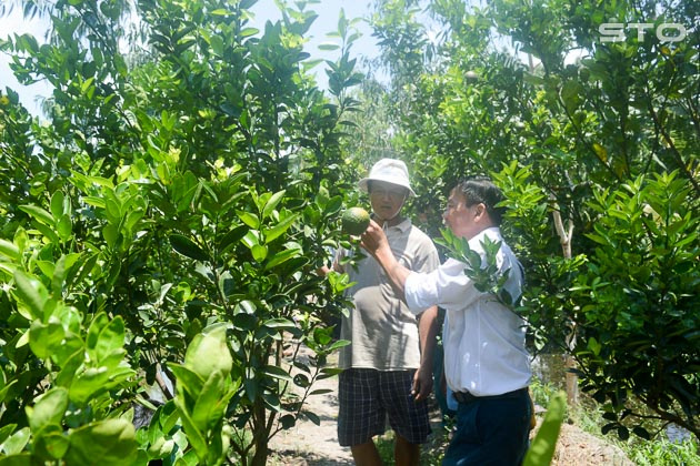Sóc Trăng: Vùng đất tiềm năng phát triển nền nông nghiệp đa dạng, quy mô lớn