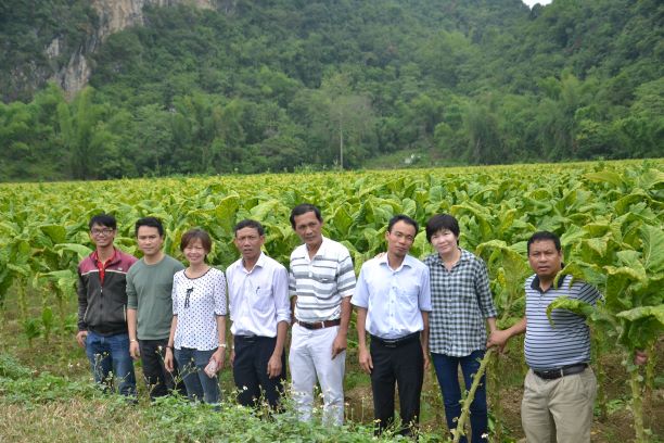 Tính bền vững và sự đổi mới trong ngành Thuốc lá