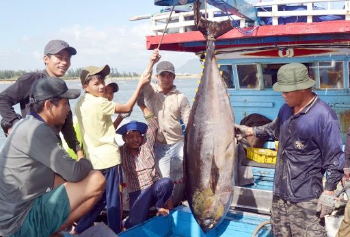 Kiểm soát chất lượng sản phẩm cá ngừ đại dương Việt Nam, nhìn từ chuỗi cung ứng sản phẩm cá ngừ Philipine