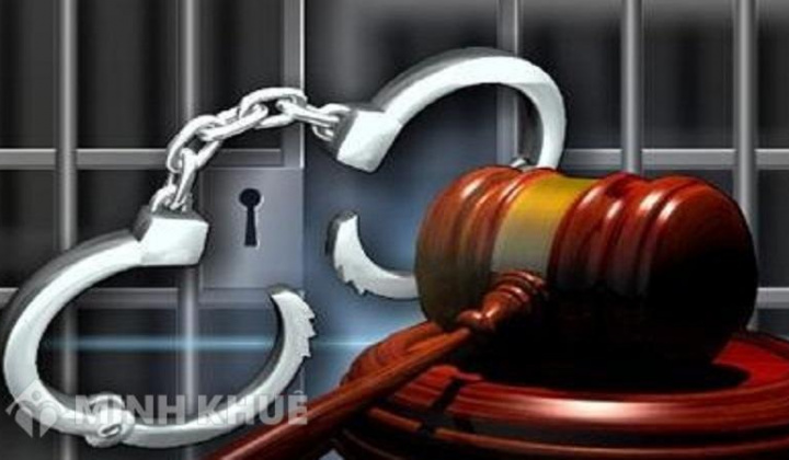 Trách nhiệm hình sự đối với pháp nhân theo pháp luật hình sự Việt Nam - Một số vấn đề cần hoàn thiện