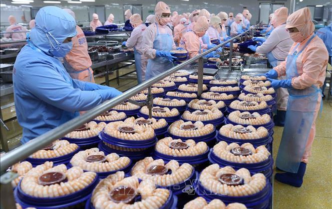 Dự báo xuất khẩu tôm Việt Nam sẽ thuận lợi hơn trong năm 2020