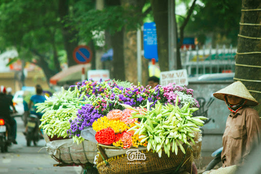 Thời tiết 22-3: Hà Nội nắng đẹp ngày cuối tuần