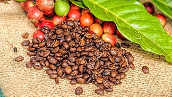 Xuất khẩu cà phê sang Đức tăng mạnh  trong 2 tháng đầu năm
